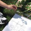 child sitting in grass using lots of dots book to compare plants