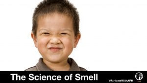 a little boy with his nose wrinkled. text reads 