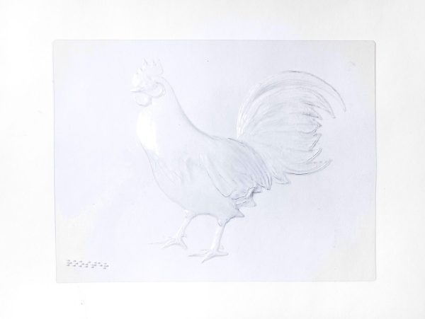 rooster translucent puzzle pieces