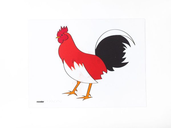 Chicken translucent puzzle pieces