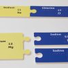 Two sets of subunits showing ionic bonds. On top is a yellow sodium piece attached to a blue chlorine piece. On the bottom, one yellow magnesium piece connects to two blue iodine pieces. Each piece has braille labels.