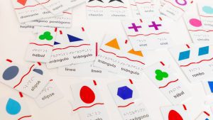 Puzzle cards of various shapes and colors are laid across a table, all with Spanish print and braille labels.