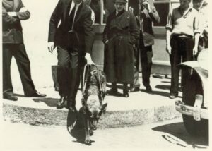 A newspaper clipping shows buddy leading Morris through the streets of Switzerland.