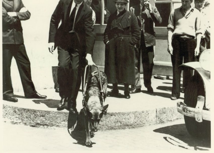 A newspaper clipping shows buddy leading Morris through the streets of Switzerland.