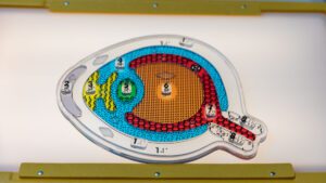 The multicolored acrylic My Sight eye anatomy puzzle on a yellow light box. The puzzle is translucent and lit from behind.