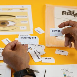 Two hands holding up the white vocabulary cards included in the My Sight kit with other kit components in the background. The hands are holding cards that say, "lower eyelid" and "cornea" in large print and braille.