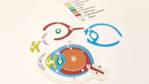 The My Sight eye anatomy puzzle with some of the pieces arranged above the puzzle and the puzzle key out of focus in the top right corner, all on a white background.