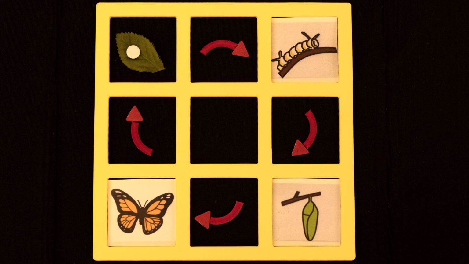 A yellow foam three-by-three frame used to create a model of the Monarch butterfly lifecycle with each development stage in a square and red arrows between them.