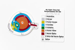 A colorful tactile puzzle diagram of an eye next to the My Sight Spanish tactile key that assigns each texture from the puzzle with a braille and large print label.