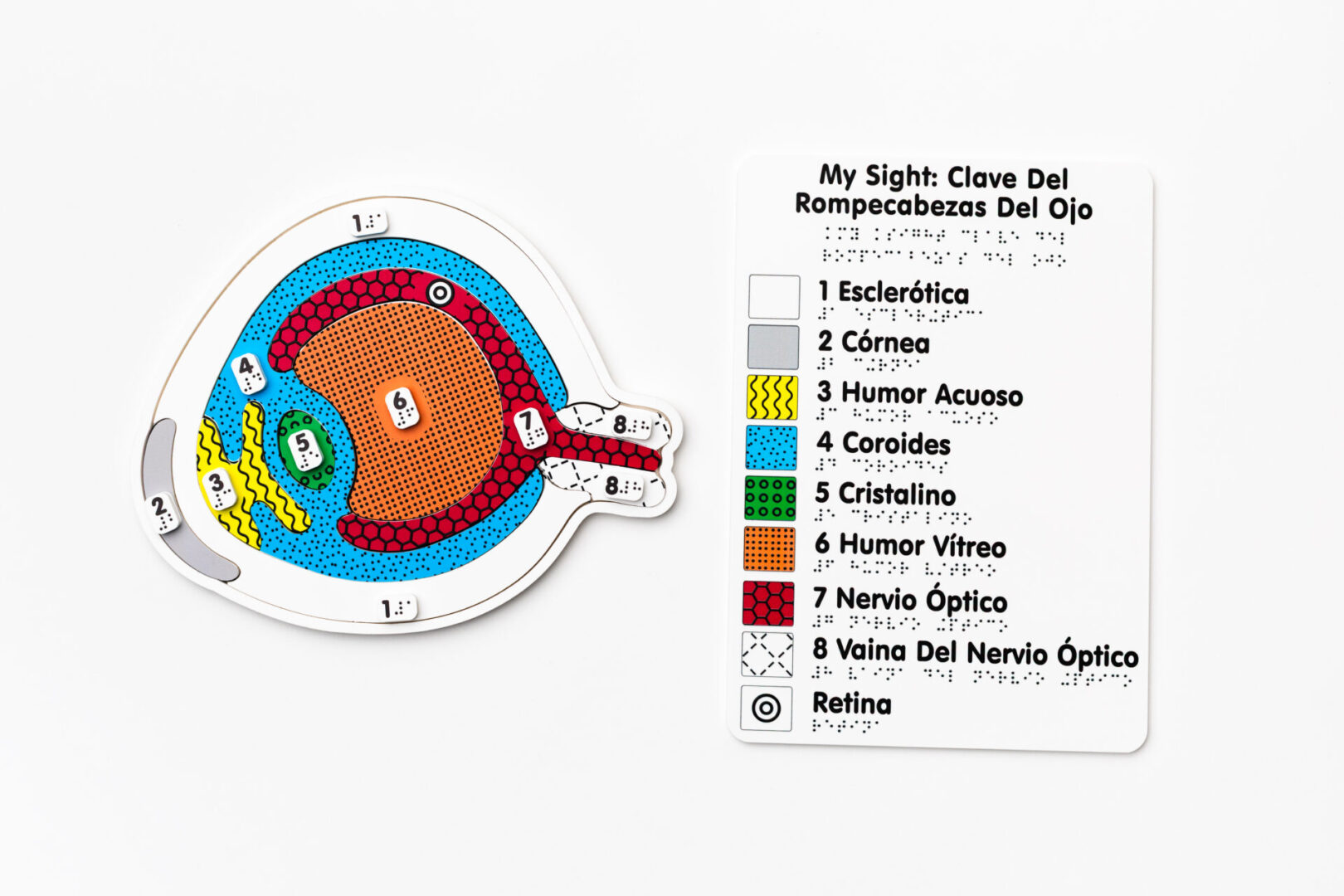 My Sight Spanish 4Z9A3262 v2 A colorful tactile puzzle diagram of an eye next to the My Sight Spanish tactile key that assigns each texture from the puzzle with a braille and large print label.